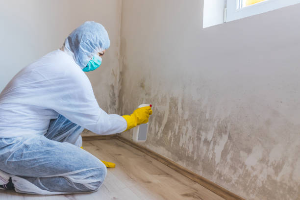 Mold Remediation specialist working in Antioch